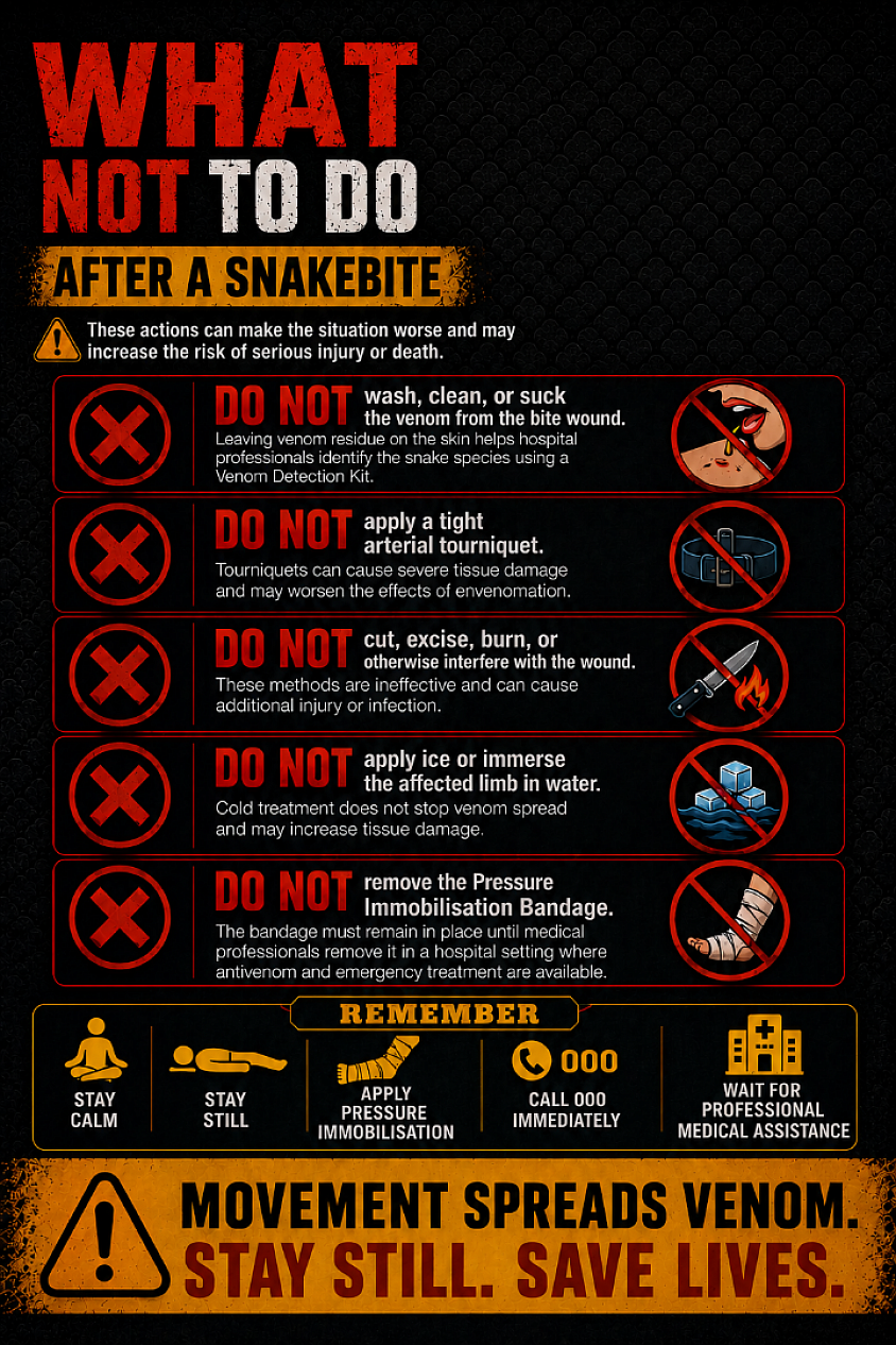 What not to do after snake bite