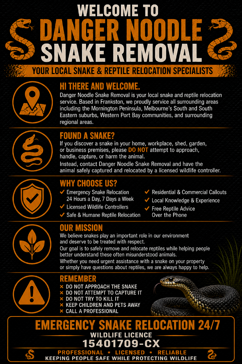 Welcome to danger noodle snake removal